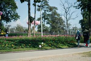 BIB: 
                            <button type="button" onclick="openModal(27613974)" class="btn btn-primary btn-sm float-right btn-popup" data-toggle="modal" data-target=".modal-high-quality">
                        <i class="fas fa-shopping-cart"></i> Add to Cart
                    </button>
                                            <button type="button" onclick="isThisMe(27613974, true)" class="btn btn-success btn-sm float-right btn-popup btn-isme hidden" data-toggle="tooltip" data-placement="bottom" title="นี่คือรูปของคุณใช่ไหม คลิกที่นี่เพื่อเอาเข้าอัลบั้ม">
                        <i class="fas fa-plus"></i> Add to album
                    </button>
                    <button type="button" onclick="isThisMe(27613974, false)" class="btn btn-warning btn-sm float-right btn-popup btn-isnotme hidden">
                        <i class="fas fa-ban"></i> Remove from album
                    </button>